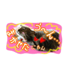 可愛いにゃんこ写真スタンプ～2～（個別スタンプ：28）