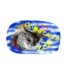 可愛いにゃんこ写真スタンプ～2～（個別スタンプ：40）