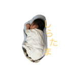 mimidesukamimidesu（個別スタンプ：2）