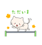 Hanging cats（個別スタンプ：13）