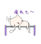 Hanging cats（個別スタンプ：25）