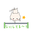 Hanging cats（個別スタンプ：31）
