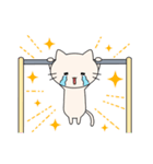 Hanging cats（個別スタンプ：37）