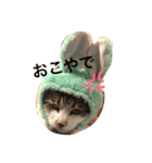 私の家族♡（個別スタンプ：3）