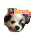 私の家族♡（個別スタンプ：5）