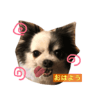 私の家族♡（個別スタンプ：6）