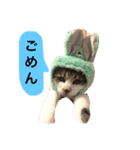 私の家族♡（個別スタンプ：10）