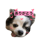 私の家族♡（個別スタンプ：13）
