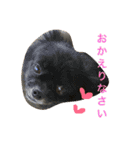 私の家族♡（個別スタンプ：14）