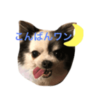 私の家族♡（個別スタンプ：15）