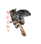 ララさま①（個別スタンプ：8）