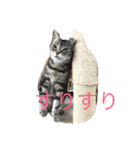 ララさま①（個別スタンプ：10）