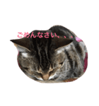 ララさま①（個別スタンプ：14）