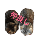ララさま①（個別スタンプ：15）