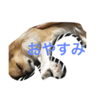 あんともーりー（個別スタンプ：2）