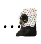 あんともーりー（個別スタンプ：5）