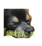 あんともーりー（個別スタンプ：6）