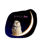 OWL HAPPY（個別スタンプ：3）