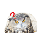 OWL HAPPY（個別スタンプ：7）