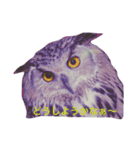 OWL HAPPY（個別スタンプ：8）
