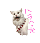 タラちゃんと一緒（個別スタンプ：1）