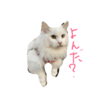 タラちゃんと一緒（個別スタンプ：3）