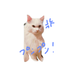タラちゃんと一緒（個別スタンプ：5）