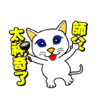 Blue-eyed cat - master, something？（個別スタンプ：7）