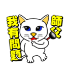 Blue-eyed cat - master, something？（個別スタンプ：18）