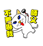 Blue-eyed cat - master, something？（個別スタンプ：26）