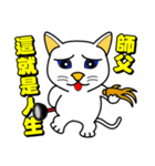 Blue-eyed cat - master, something？（個別スタンプ：34）