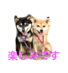 豆柴なつ＆ふゆ（個別スタンプ：7）