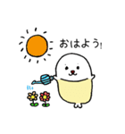 ピピ＆チャモ（個別スタンプ：1）
