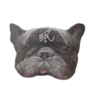 フレンチブルドッグ の 銀次郎（個別スタンプ：14）