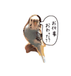 Hatsune and Ryosuke（個別スタンプ：17）