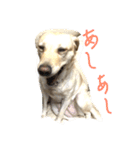 loveco 2（個別スタンプ：8）