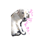 loveco 2（個別スタンプ：12）