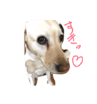 loveco 2（個別スタンプ：23）