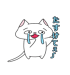 目がおかしい？！ヘンテコ猫（個別スタンプ：8）