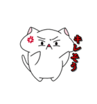 目がおかしい？！ヘンテコ猫（個別スタンプ：19）