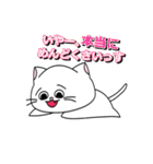 目がおかしい？！ヘンテコ猫（個別スタンプ：31）
