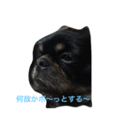 ちべたんの日常（個別スタンプ：2）