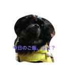 ちべたんの日常（個別スタンプ：4）