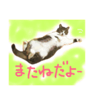 I'm Pelo .（個別スタンプ：3）