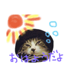 I'm Pelo .（個別スタンプ：6）