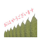 ゴーヤーなやつ（ら）（個別スタンプ：14）
