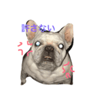 あたにこふく（個別スタンプ：1）
