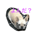 あたにこふく（個別スタンプ：4）
