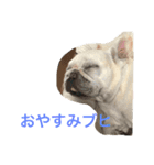 あたにこふく（個別スタンプ：7）