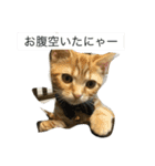 快音（個別スタンプ：1）
